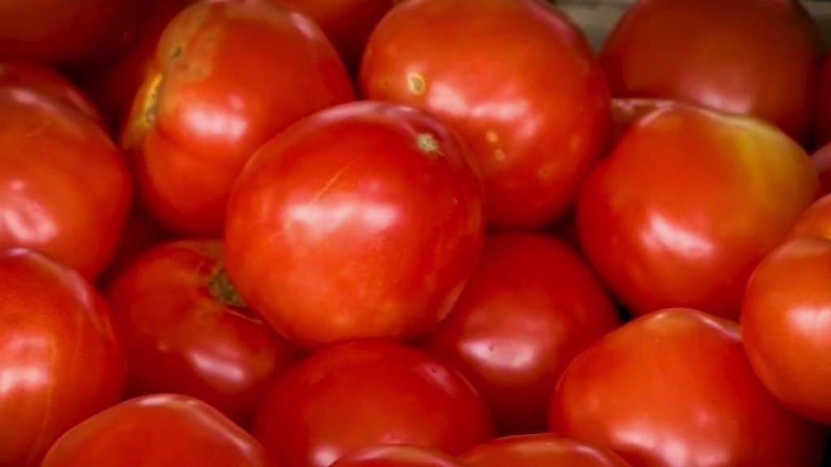 Soaring tomato prices eating into some San Diego restaurant’s profits – NBC 7 San Diego