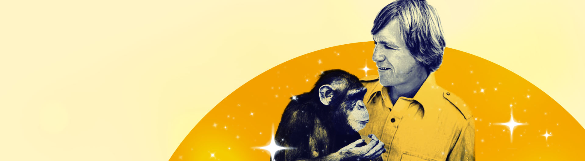Beyond words: Roger Fouts ’64 found meaning in the eyes of a chimp named Washoe