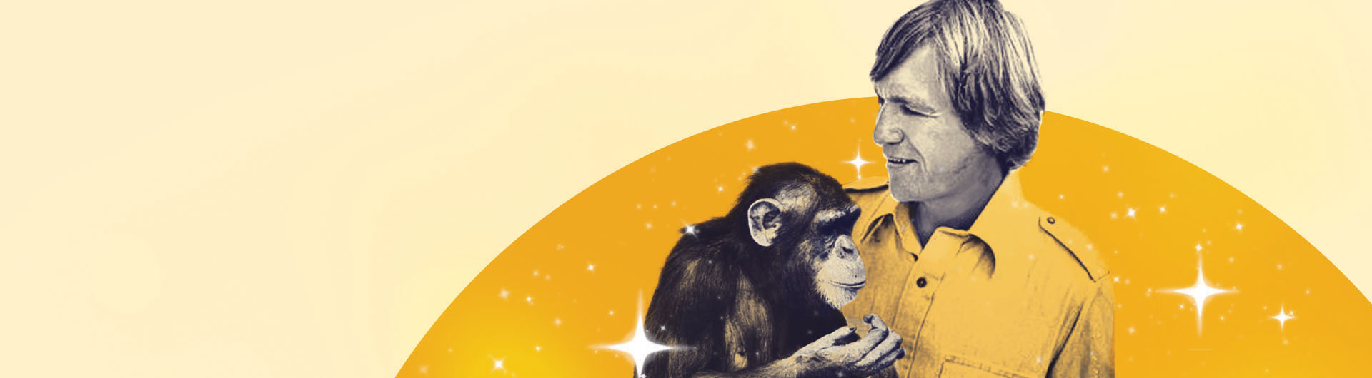 Beyond words: Roger Fouts ’64 found meaning in the eyes of a chimp named Washoe