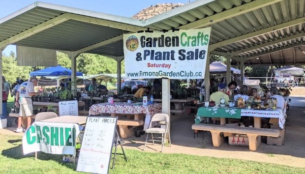 A Plant & Craft sale will include plants propagated and grown by Ramona Garden Club members. (Courtesy Ramona Garden Club)