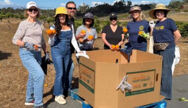 Rancho Santa Fe Rotary volunteers harvest oranges for local families – San Diego Union-Tribune