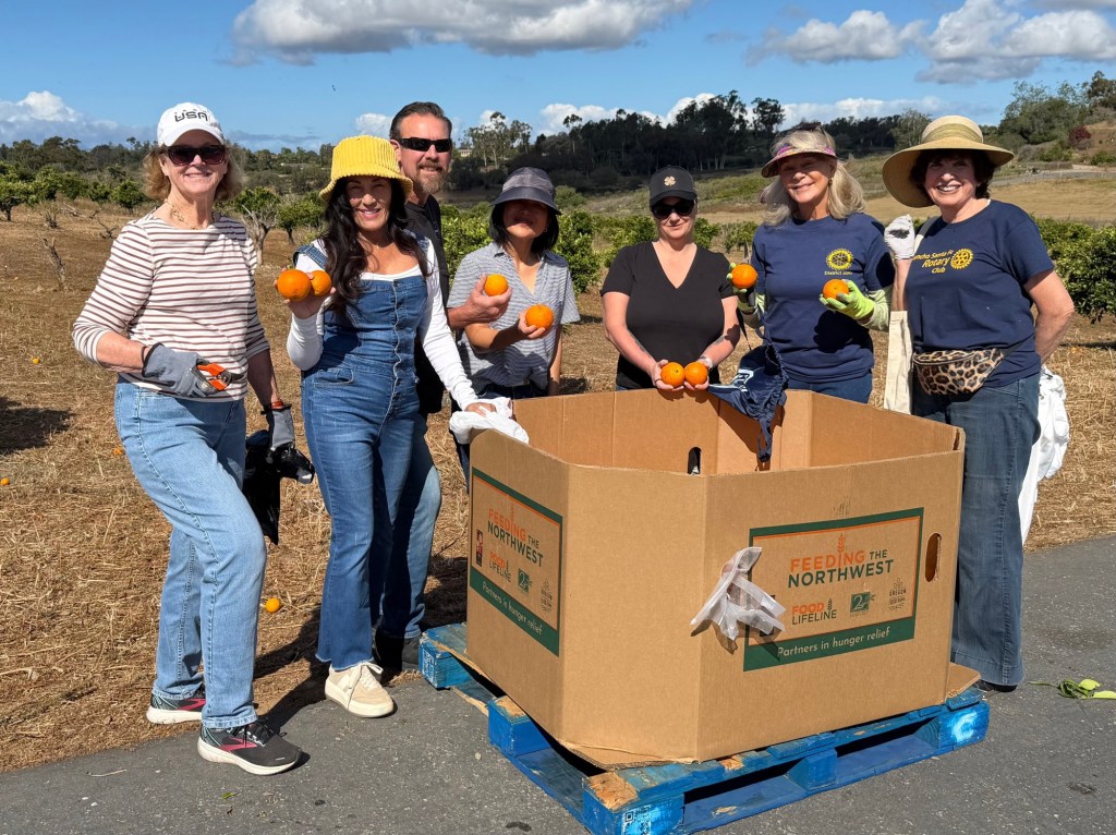Rancho Santa Fe Rotary volunteers harvest oranges for local families – San Diego Union-Tribune