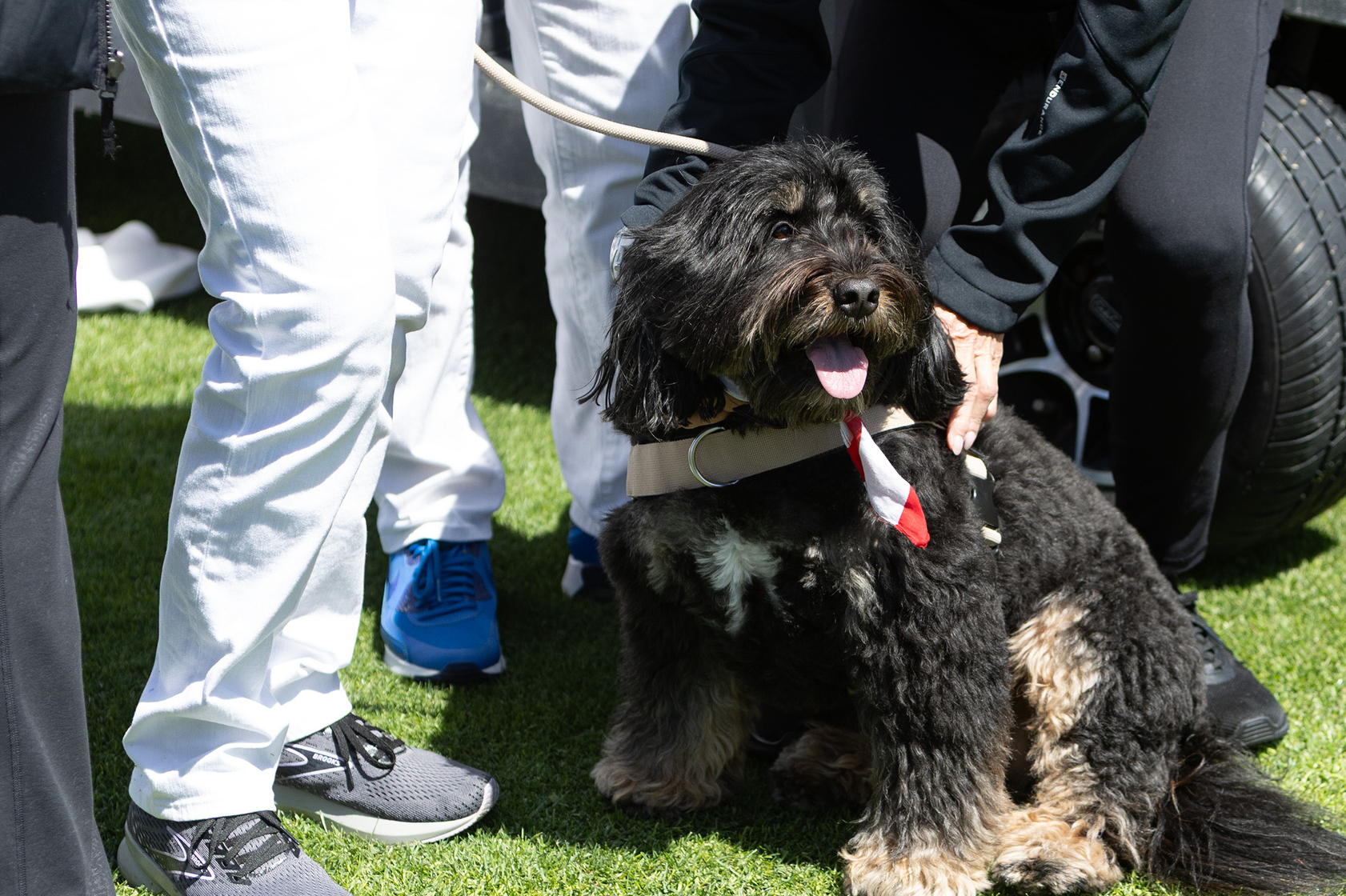 Canine sponsor Stella Mae (Jon Clark)