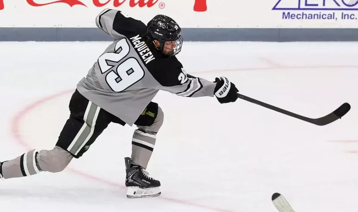 NHL: Victor Nuño - Dynasty Stock Watch