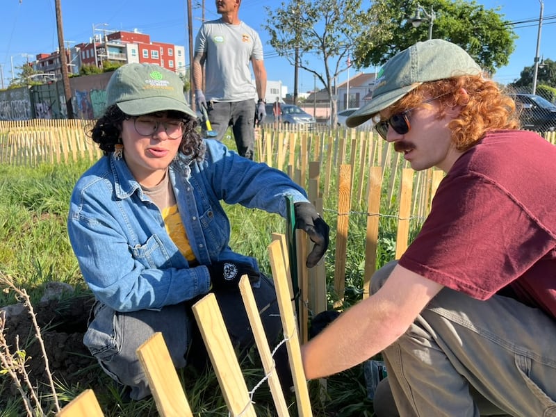Theodore Payne Foundation California Climate Action Corps Fellows Zoe Alamillo, left, and Craig Short, right, prop up a fence during the community workday on March 14, 2026. (Photo by Jadon Frank)