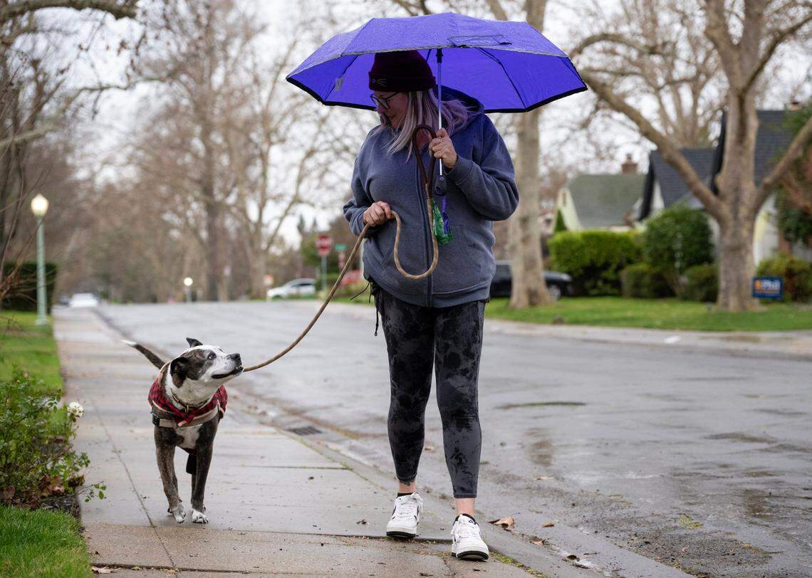 Pet sitter Kristine Stoflet of Peaceful Pets walks Lola in the rain in East Sacramento on Wednesday, Jan. 31, 2024.