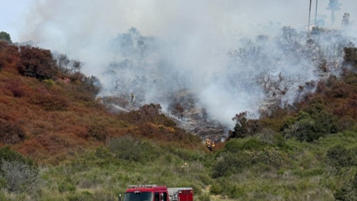 Vegetation fire in San Marcos prompts evacuations to nearby residences – NBC 7 San Diego