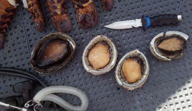 Abalone Poaching
