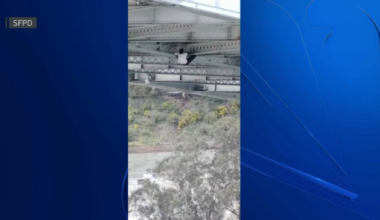 Suspect dangles from Bay Bridge crossbeams during pursuit – NBC Bay Area