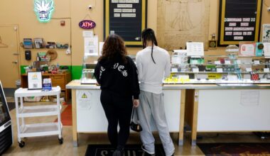 Why the illicit cannabis market still dominates in California – The Mercury News