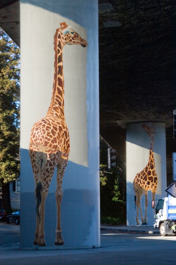 Dan Fontes' "Giraphics" murals were first painted under I-580 near the Harrison exit in Oakland in the 1980s. (Photo courtesy of Dan Fontes)