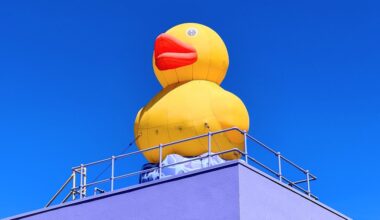 Children’s Discovery Museum’s new rooftop duck needs a name – The Mercury News