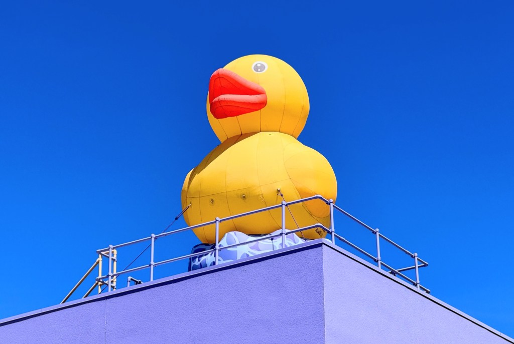 Children’s Discovery Museum’s new rooftop duck needs a name – The Mercury News