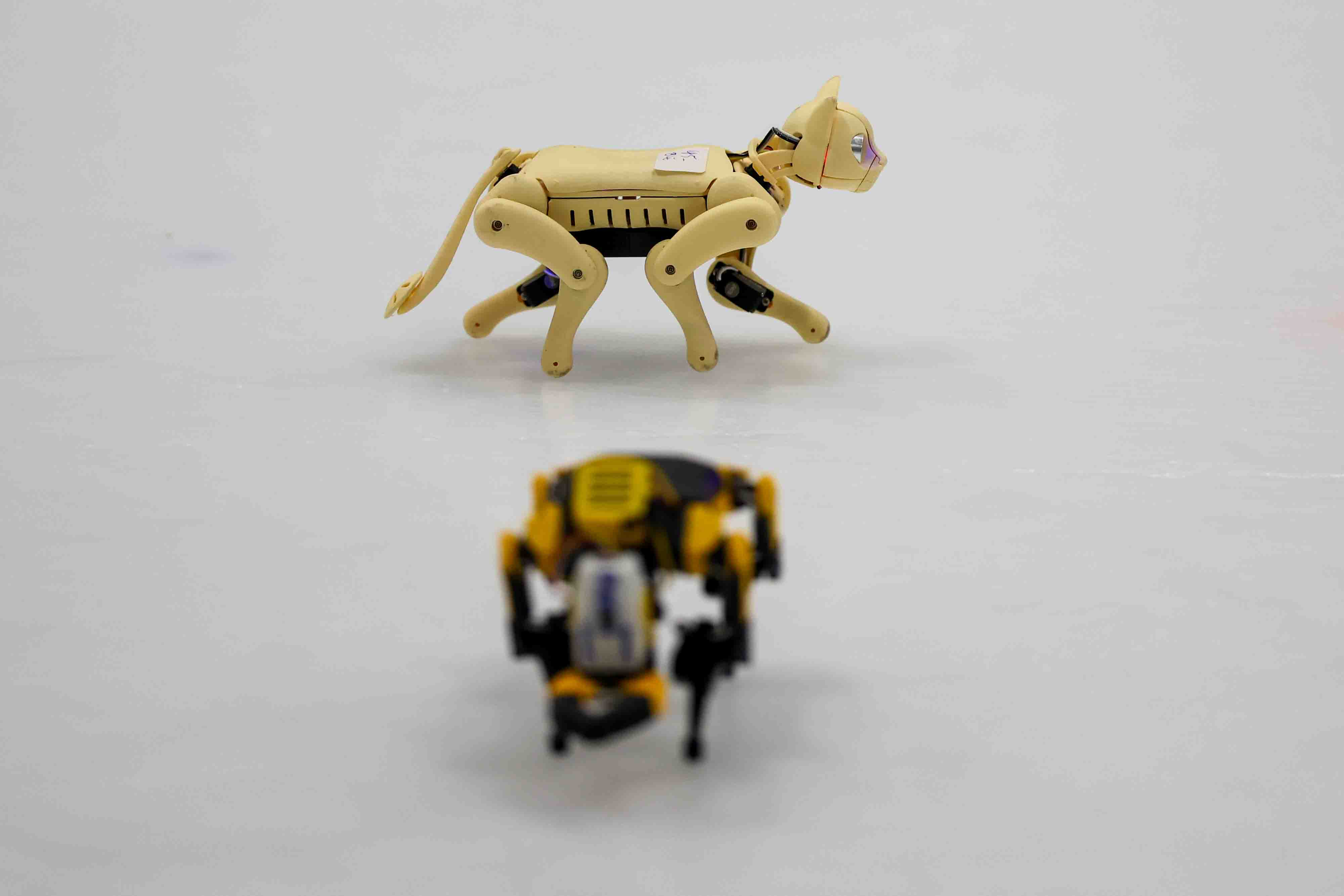 Nybble robot cat, top, and Bittle robot dog, designed by...