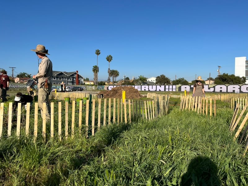 Community volunteers led by Test Plot planted a restoration garden on the former drill site on March 14, 2026. The planting has been underway since February 2026 and is the first part of a broader landscaping plan by the Los Angeles Neighborhood Land Trust. (Photo by Jadon Frank)