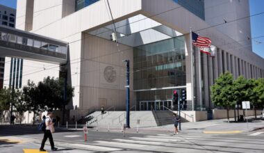 How a dog visitation dispute in San Diego turned into a warning to judges about AI