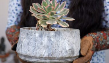 Creating pots of ‘garden gold’ – San Diego Union-Tribune
