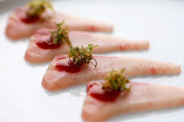 San Diego, CA - February 4: Yellowtail with gochujang glaze and crispy negi at Dashi in Hillcrest on February 4, 2026 in San Diego, CA. (K.C. Alfred / The San Diego Union-Tribune)