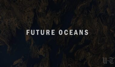 ‘Future Oceans,’ a look at San Diego County’s marine protected areas – San Diego Union-Tribune