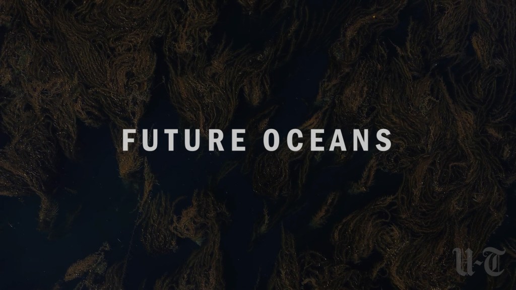 ‘Future Oceans,’ a look at San Diego County’s marine protected areas – San Diego Union-Tribune