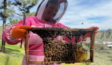 Growing a buzzworthy backyard – San Diego Union-Tribune