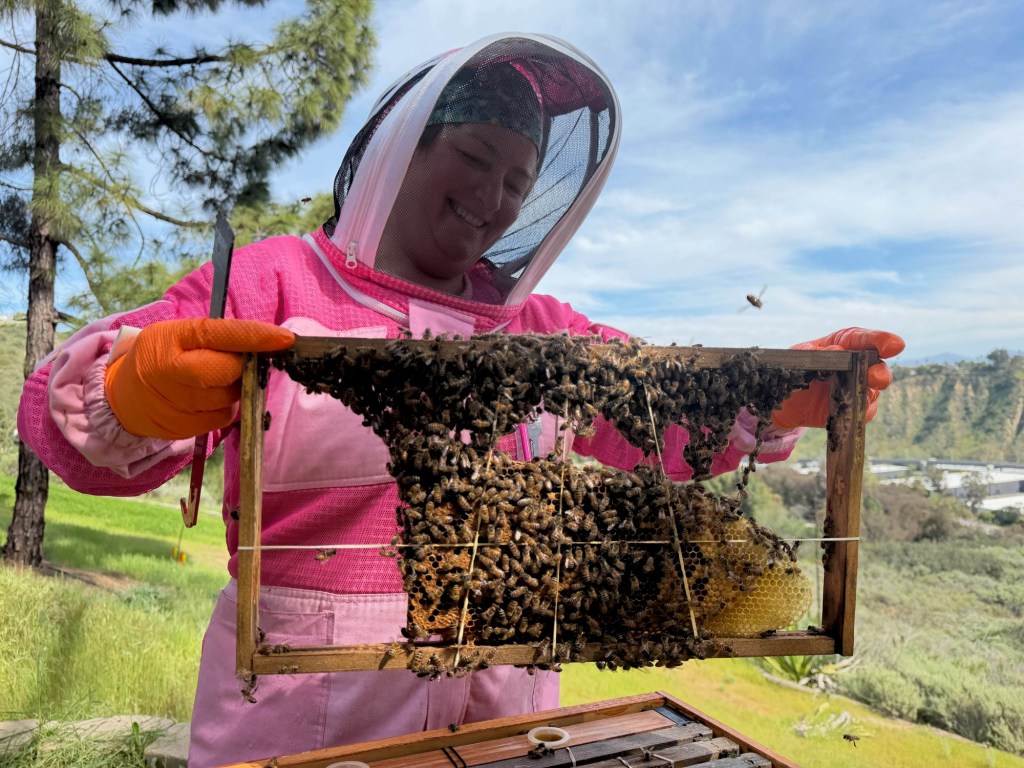 Growing a buzzworthy backyard – San Diego Union-Tribune