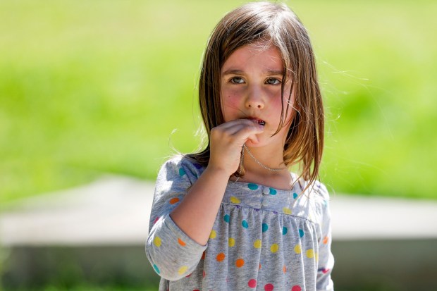 Aubrey Kendall, 4, practices playing the harmonica during the Spring Harp Fest, celebrating the unique sounds of the harmonica, at Harry Griffen Park on Saturday, April 4, 2026 in La Mesa, California. (Meg McLaughlin / The San Diego Union-Tribune)