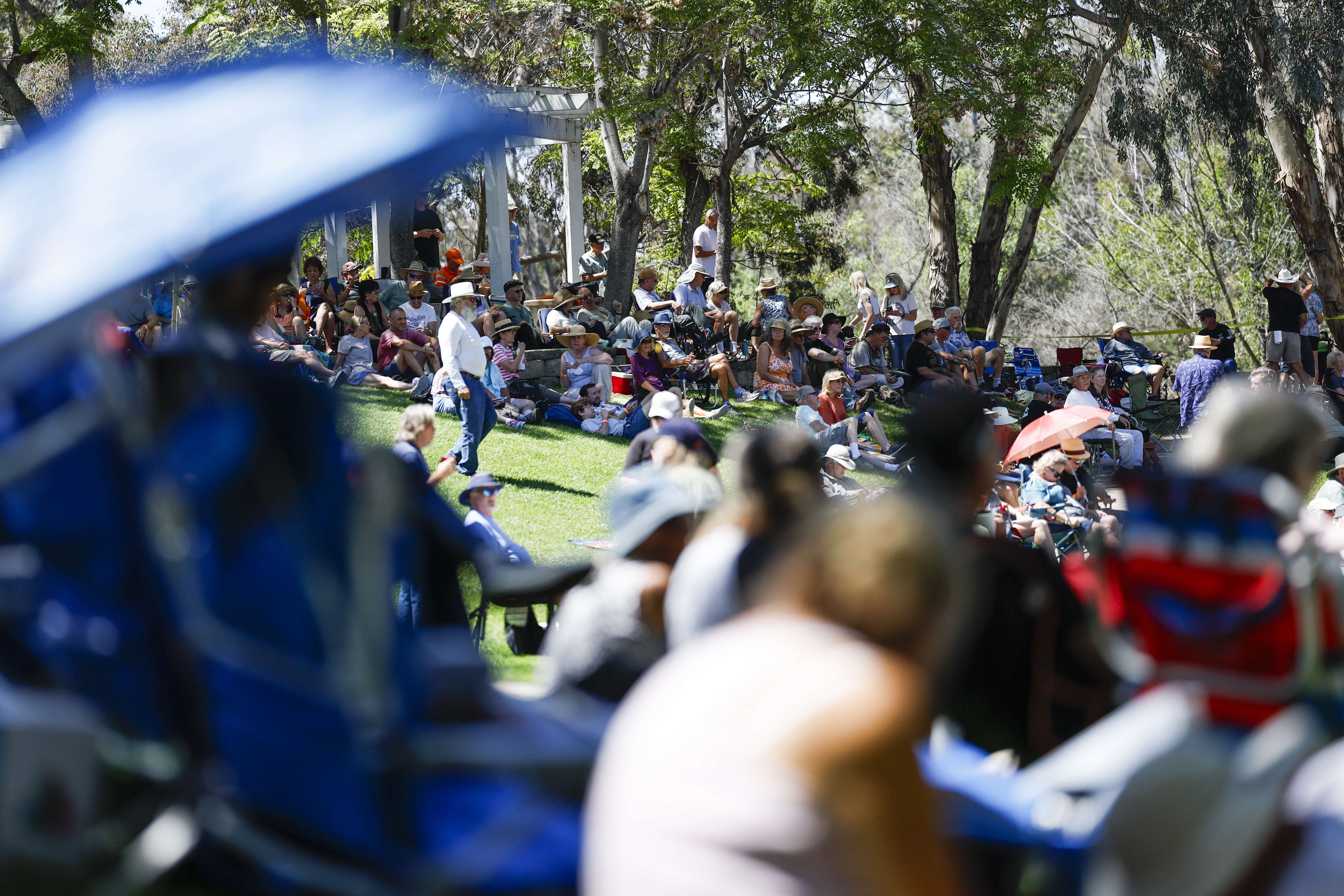 Spring Harp Fest patrons watch as Troy Sandow performs at...