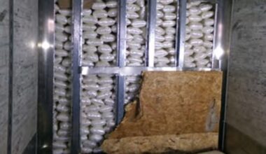 Manifest said cargo at Otay border crossing was cardboard. Feds found $5M in meth