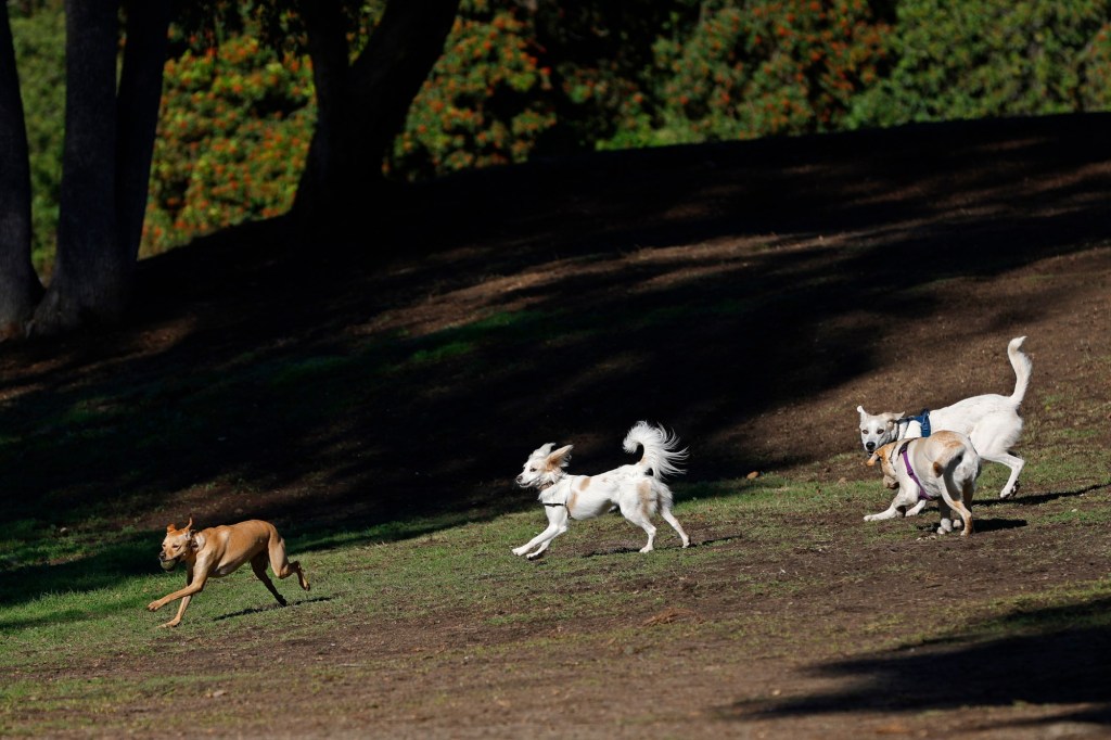 La Mesa’s aptly named Waite Drive Park is still just a vacant lot after 14 years