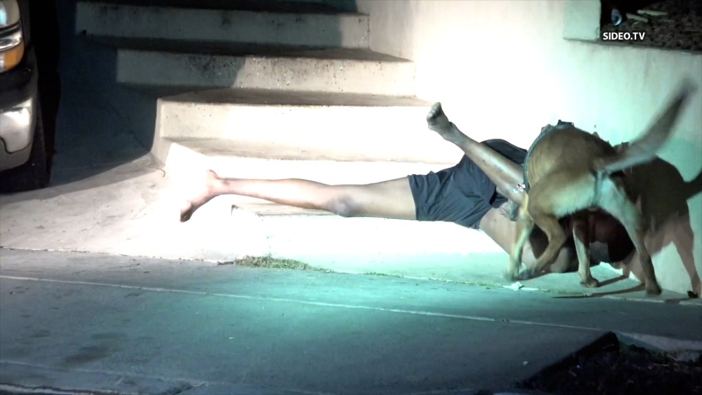 Legal groups asks AG Bonta to investigate SDPD K9 bit case