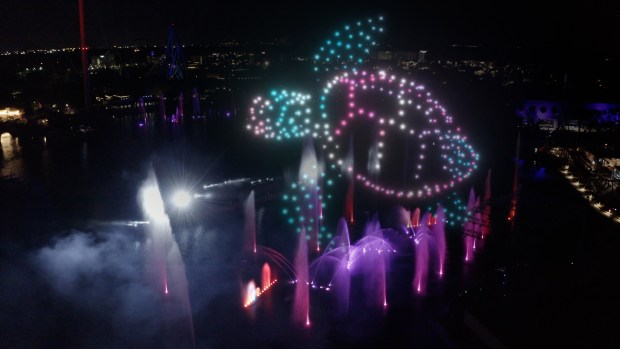 This sea turtle is an example of what can be seen in SeaWorld's drone light show (SeaWorld San Diego)