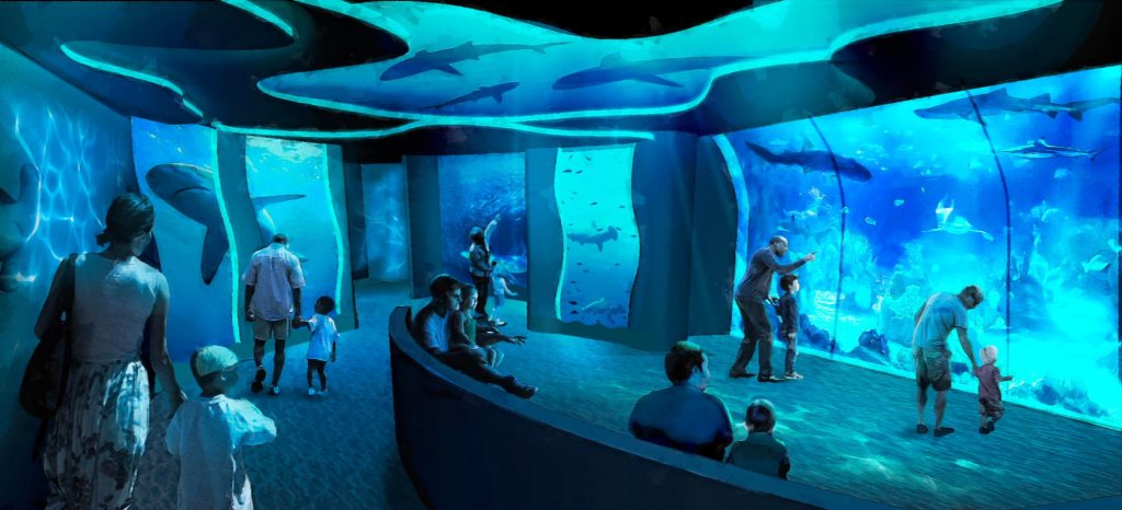 SeaWorld goes all in on sharks as it prepares to debut a reimagined park attraction – San Diego Union-Tribune