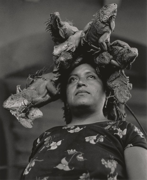 "La Nuestra Señora de las Iguanas, Juchitán, Oaxaca, México (Our Lady of the Iguanas, Juchitán, Oaxaca, Mexico)" (1979, gelatin silver print) is part of "Graciela Iturbide: Photographs from Colecciones Fundación MAPFRE," on view through June 7, 2026, at The Museum of Photographic Arts at The San Diego Museum of Art (MOPA@SDMA). (Colecciones Fundación Mapfre © Graciela Iturbide)