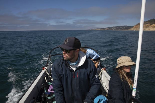 Jack Elstner, a Ph.D. student at UC San Diego's Scripps Institution of Oceanography and lead field technician for the San Diego sector, left, drives Elizabeth Jahn, graduate student at Shark Lab, left, and the rest of the crew back to Scripps Pier after tagging and retrieving data on Friday, Oct. 6, 2023 in San Diego, California. (Ana Ramirez / The San Diego Union-Tribune)