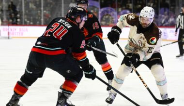Gulls closing in on AHL playoff berth; Sockers learn playoff foe