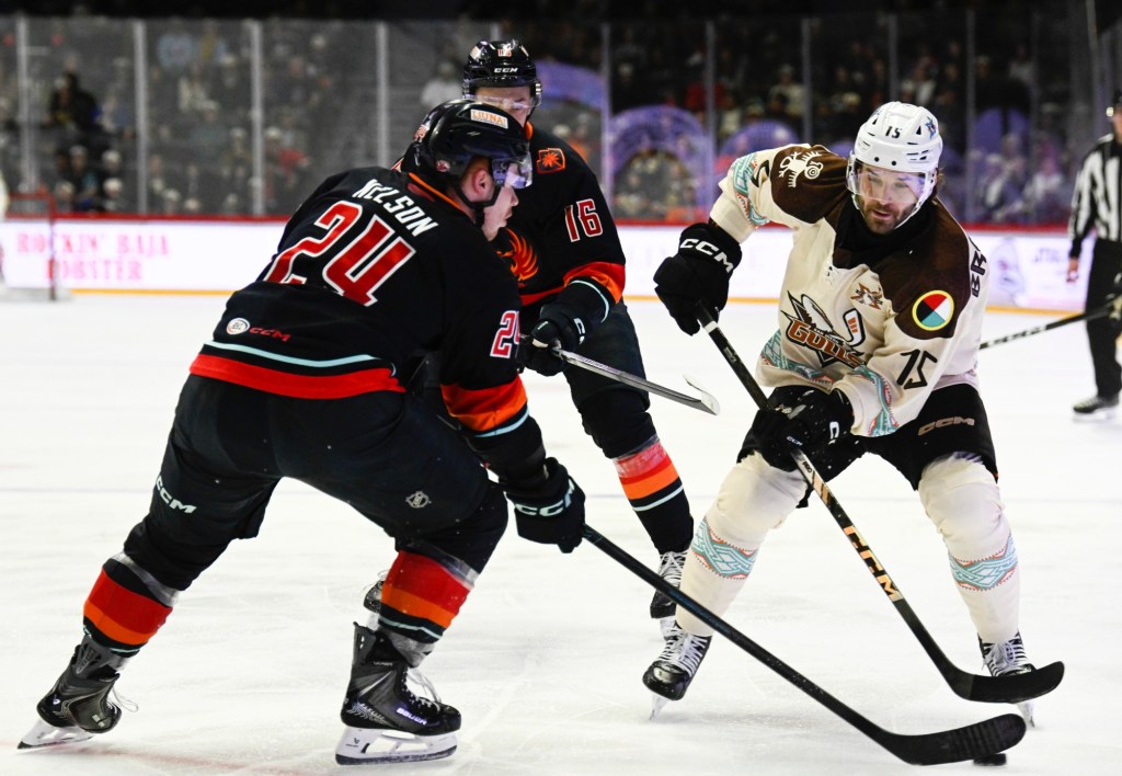 Gulls closing in on AHL playoff berth; Sockers learn playoff foe