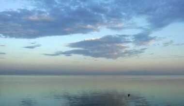 Newsom launches conservancy to help restore Salton Sea   – NBC Los Angeles