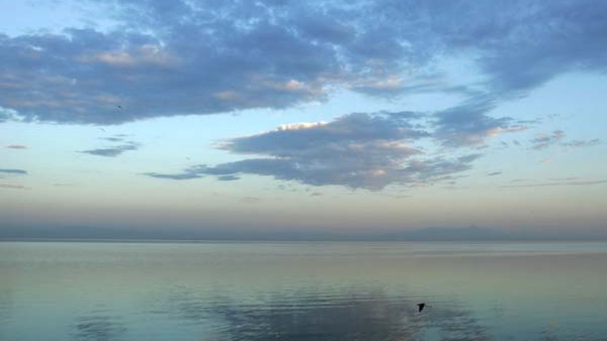 Newsom launches conservancy to help restore Salton Sea   – NBC Los Angeles