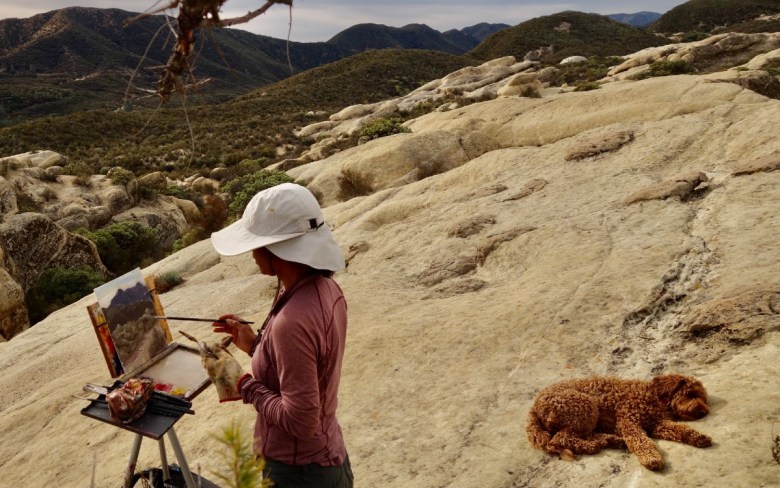 Person painting on a rocky hillside with a brown dog lying nearby.