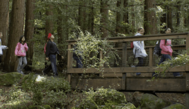 Outdoor school could avoid closing if it moves to Cupertino