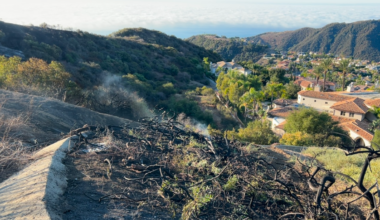 Palisades arson defendant claims firefighters share blame – NBC Los Angeles