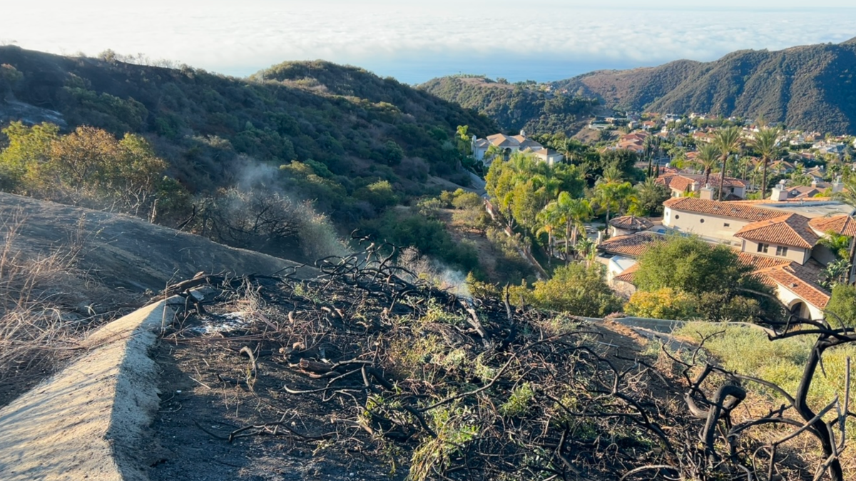 Palisades arson defendant claims firefighters share blame – NBC Los Angeles