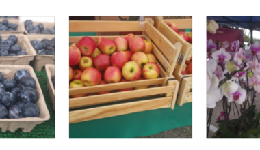 Farmers’ Market in Fullerton Highlights Fresh Produce and Sustainability