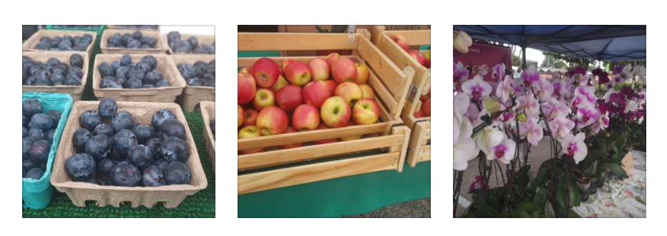 Farmers’ Market in Fullerton Highlights Fresh Produce and Sustainability