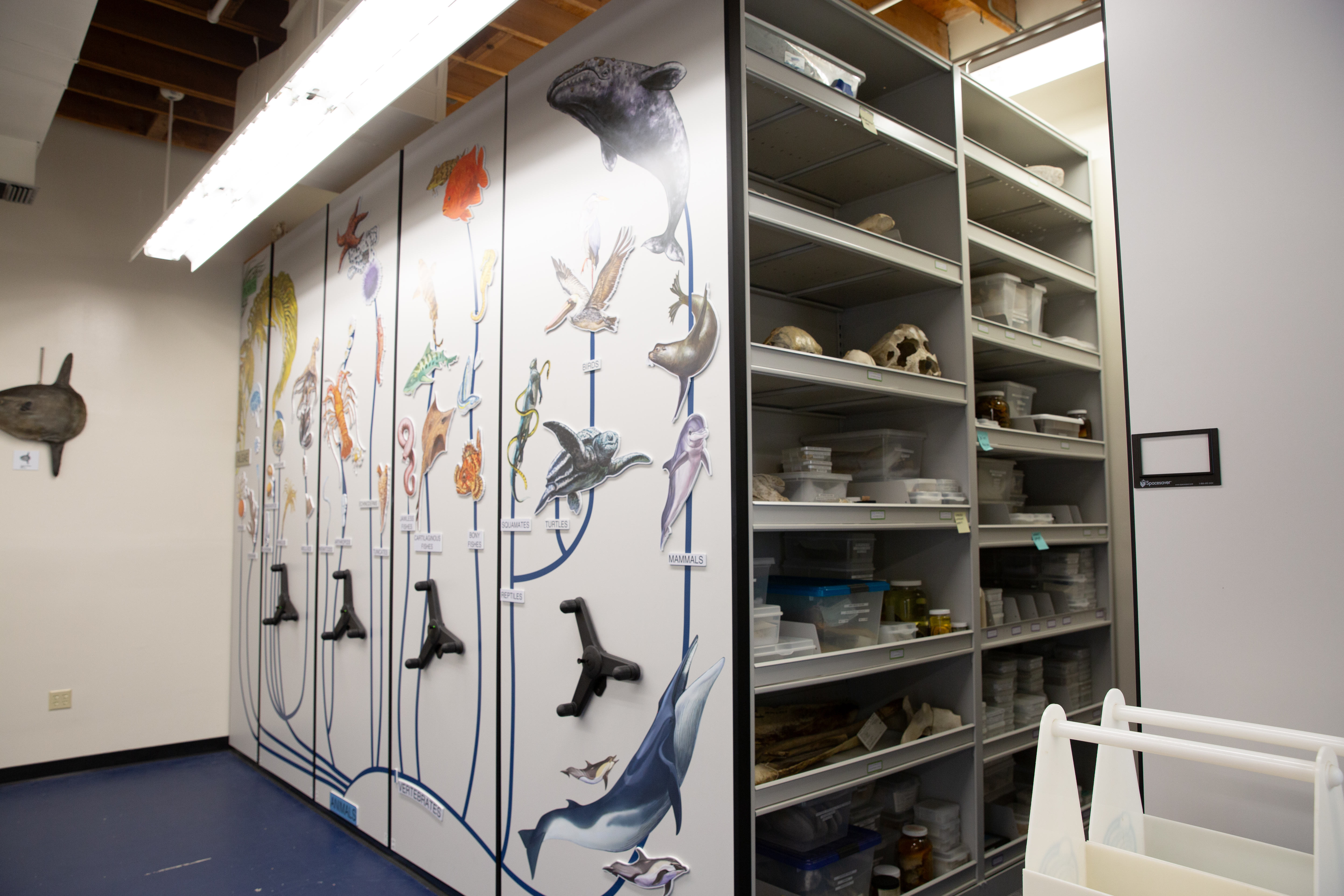 With artwork showing the types of animals kept in each...