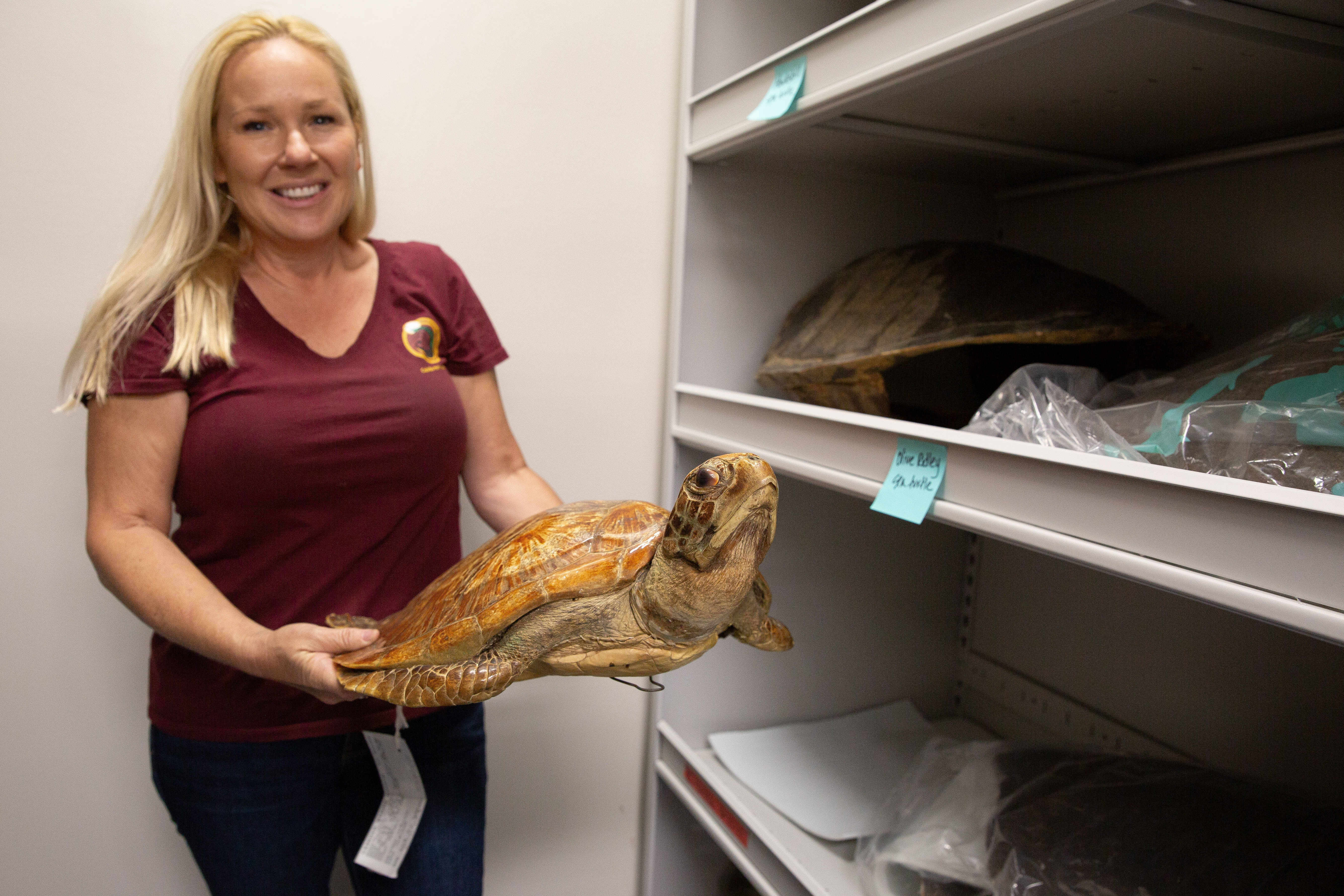 Executive director Crislyn McKerron holds up a preserved green sea...