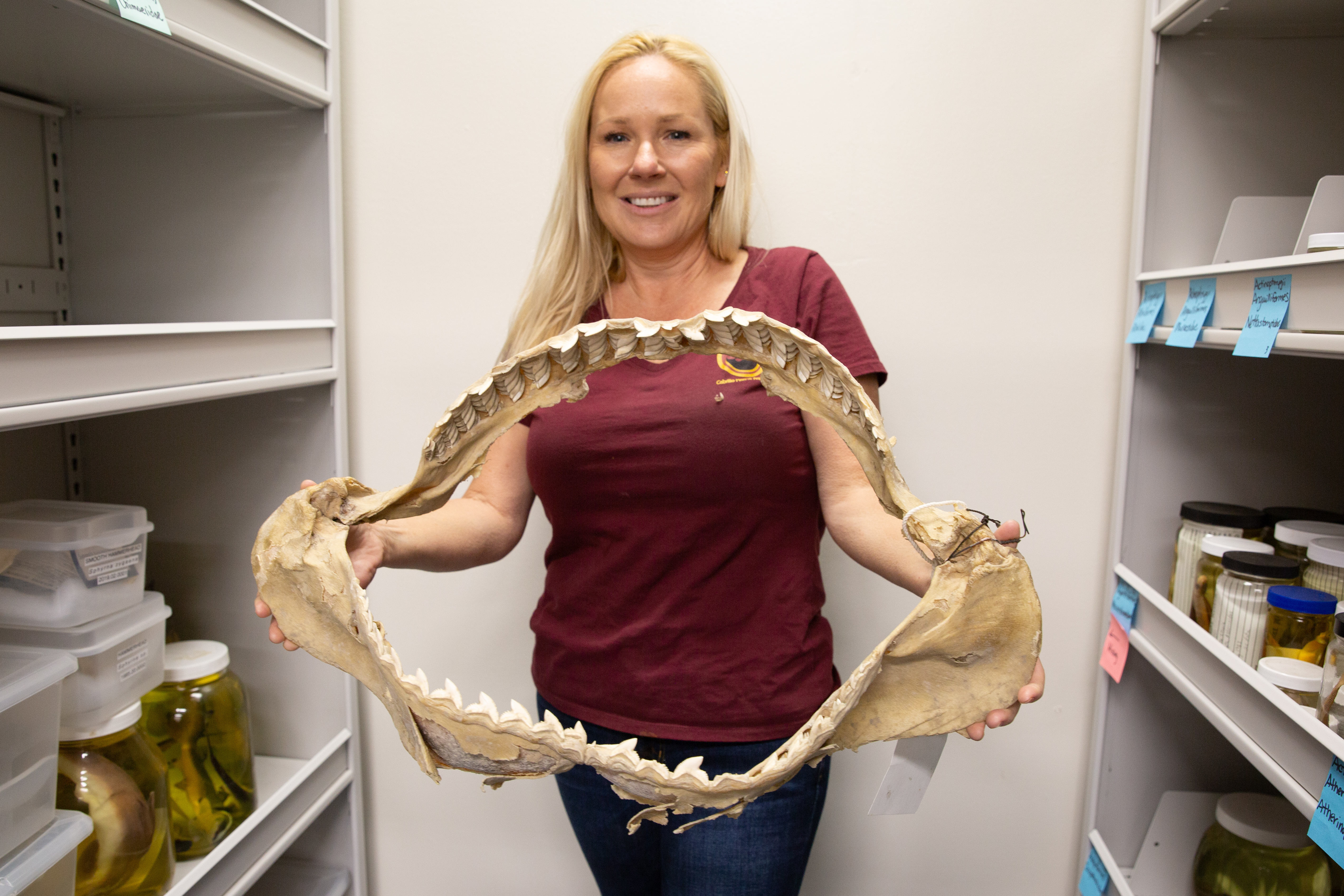 Executive director Crislyn McKerron holds up the jaw of a...