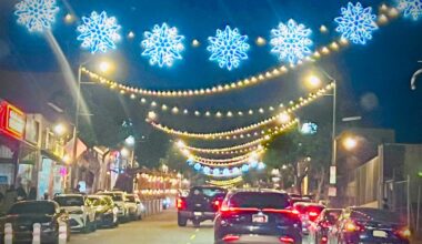 San Pedro’s Harbor Boulevard set for revamped median, overhead lights – Daily Breeze