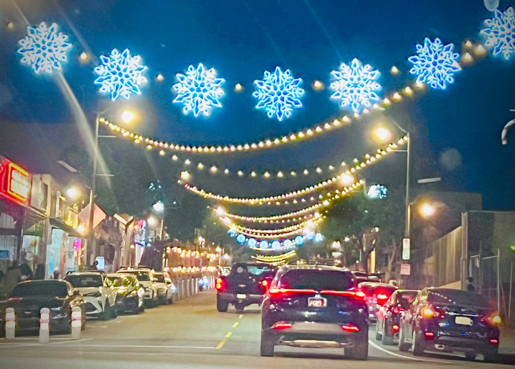 San Pedro’s Harbor Boulevard set for revamped median, overhead lights – Daily Breeze